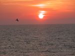 Sylt Sonnenuntergang
