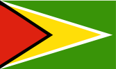 Flagge Guyana